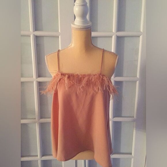 NWT ZARA BEIGE-PINK TOP Camisole Feather Straps Straight Neck Size S - Picture 2 of 4